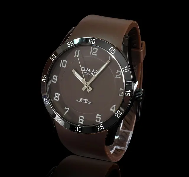 Meilleures Montres d'Occasion à Collectionner